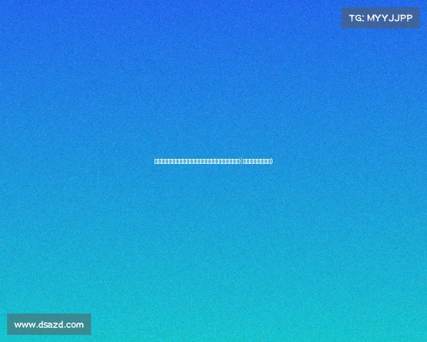 林书豪:这一年多么精彩,与弟弟携手夺冠的特殊意义(林书豪第一场集锦)